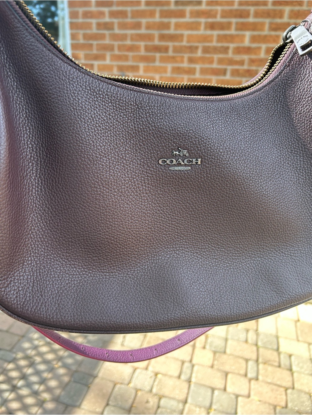 COACH Exotic Trim West Harley Hobo F20917